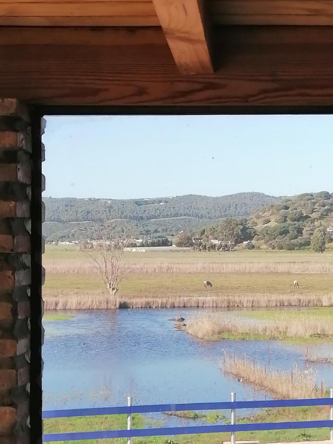 Casa Los Ibis Βίλα Vejer de la Frontera Εξωτερικό φωτογραφία